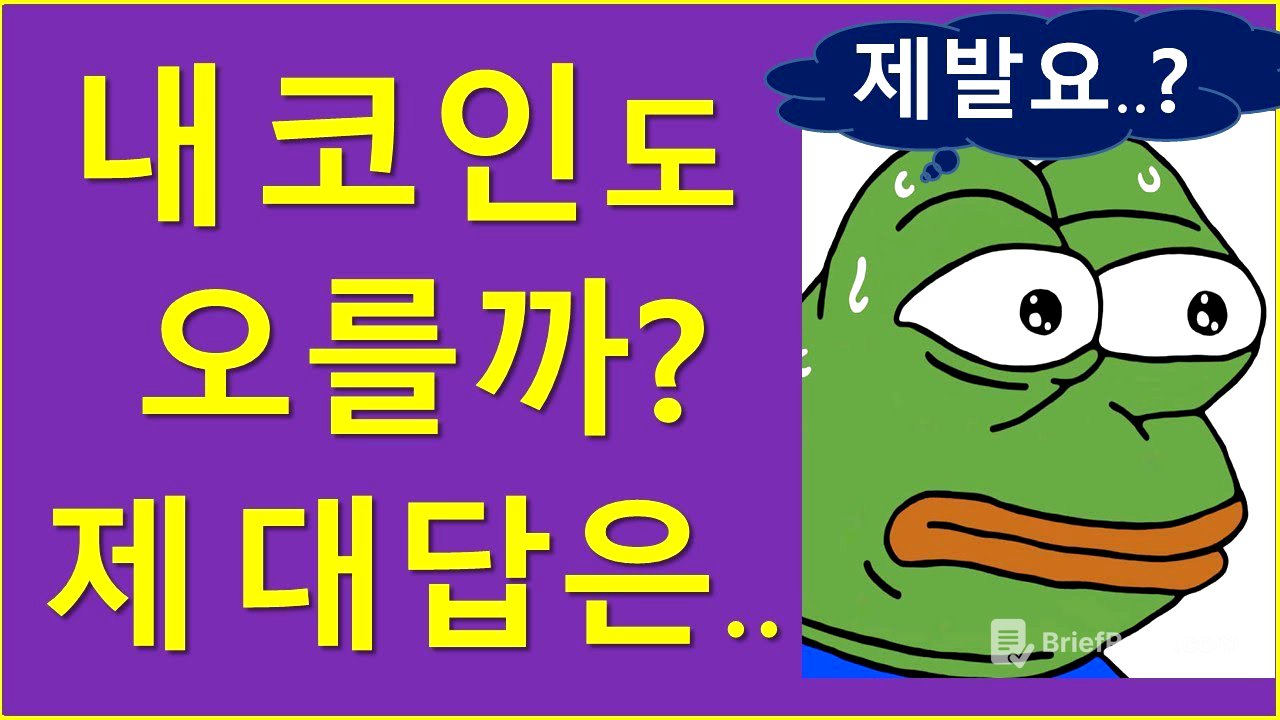 내 코인도 오를 수 있을까요?  (ft. 유동성, 업데이트)