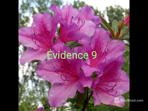 Évidence 9: l'Acceptation pleine et entière de toute notre vie amène à la véritable Paix du Cœur...