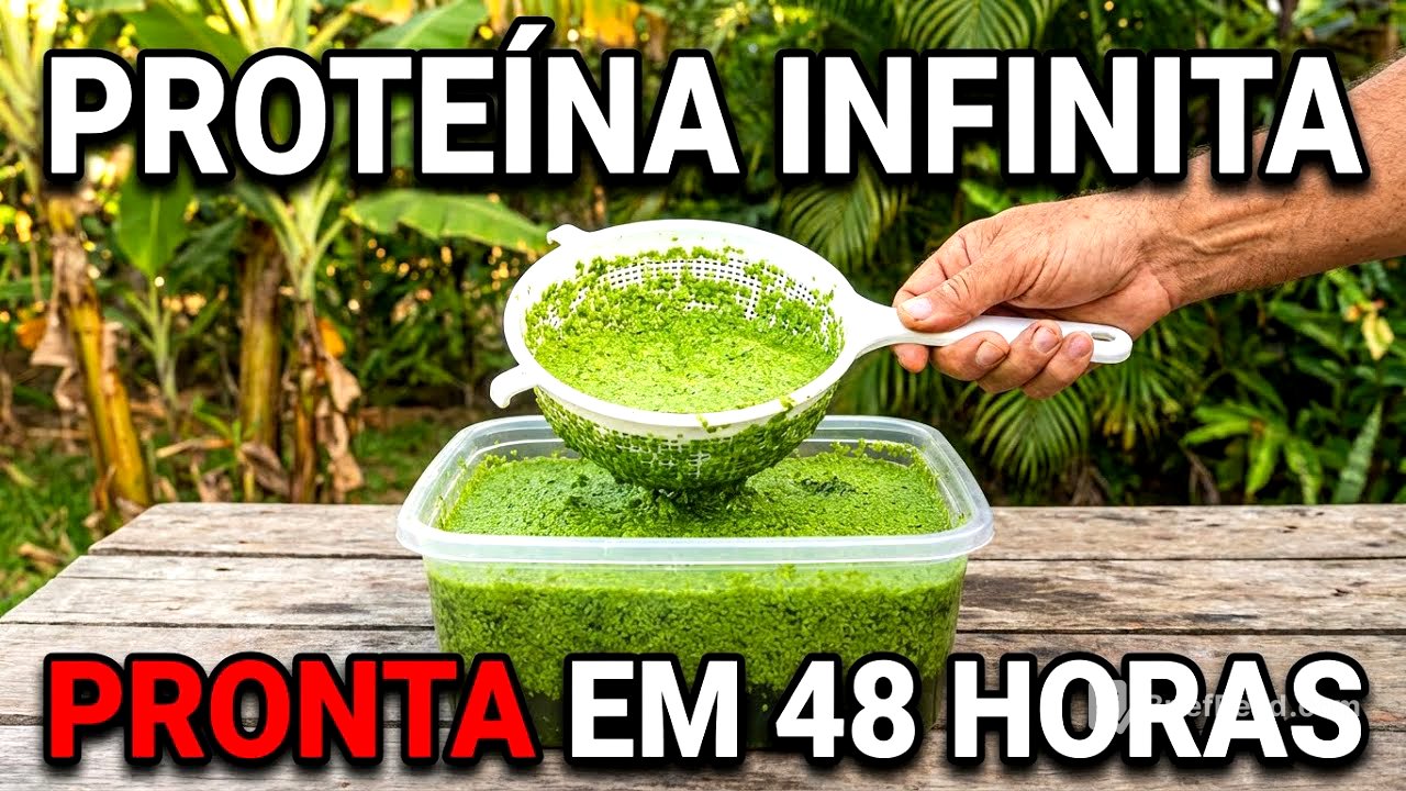 Cultive Proteína Ilimitada em um Balde. Dobra a Cada 48 Horas. Montagem em 5 Minutos.