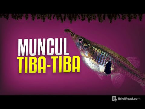 Bagaimana Ikan Cere Muncul Tiba-Tiba? #AlamSemenit