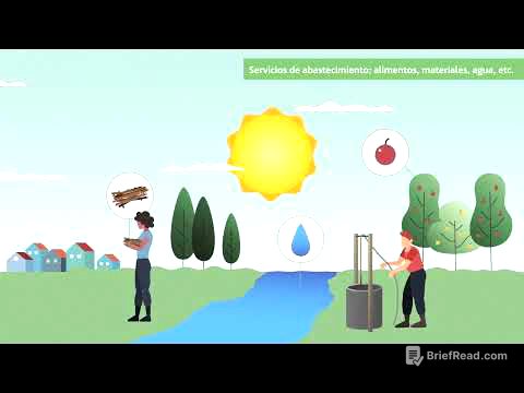 ¿Qué son los servicios ecosistémicos y por qué son vitales para el ser humano? | ACCIONA