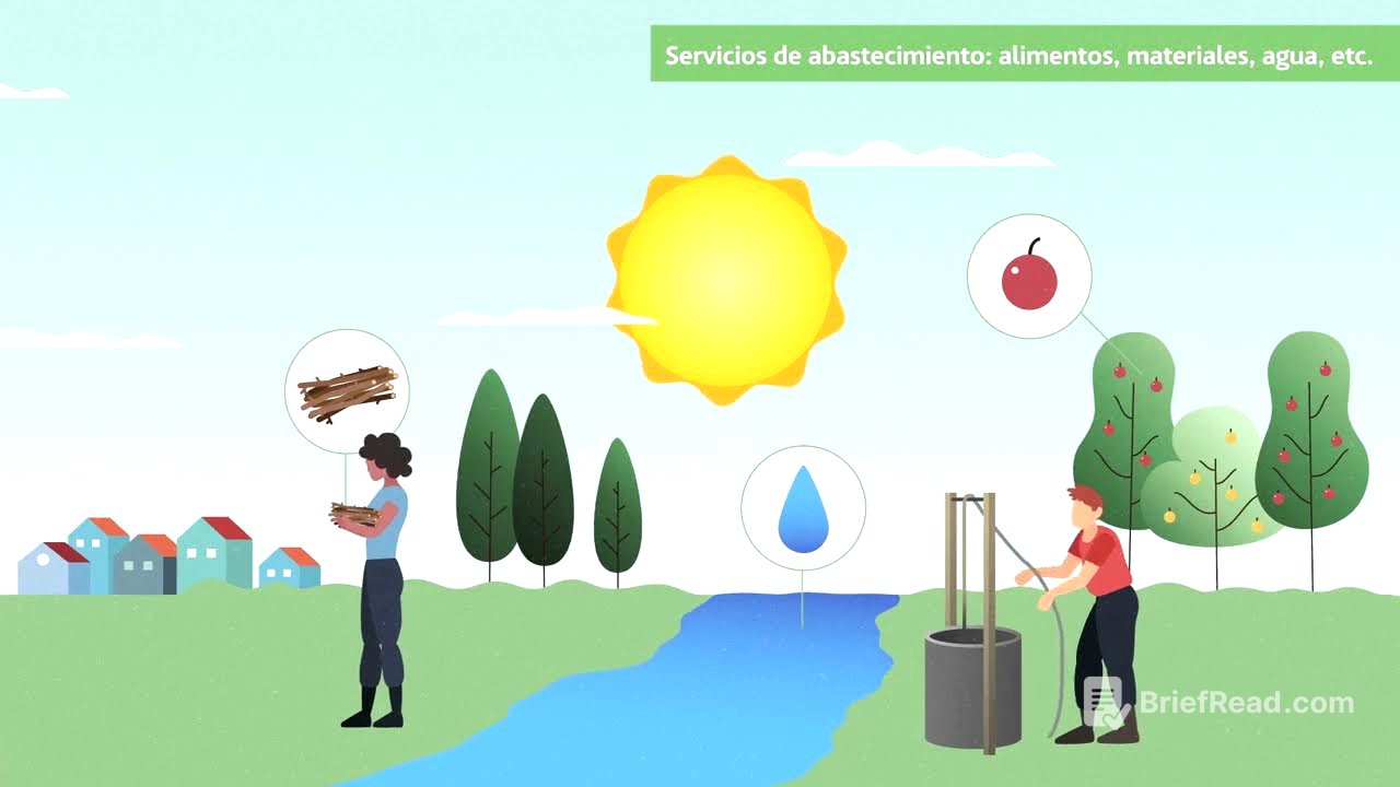 ¿Qué son los servicios ecosistémicos y por qué son vitales para el ser humano? | ACCIONA