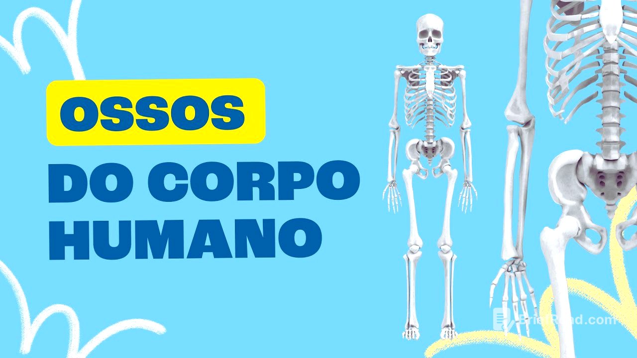 Ossos do Corpo Humano - Toda Matéria