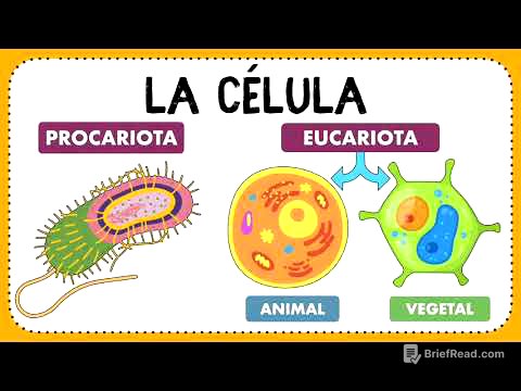 La célula: Definición, descubrimiento, clasificación y funciones ✍🏻🤓