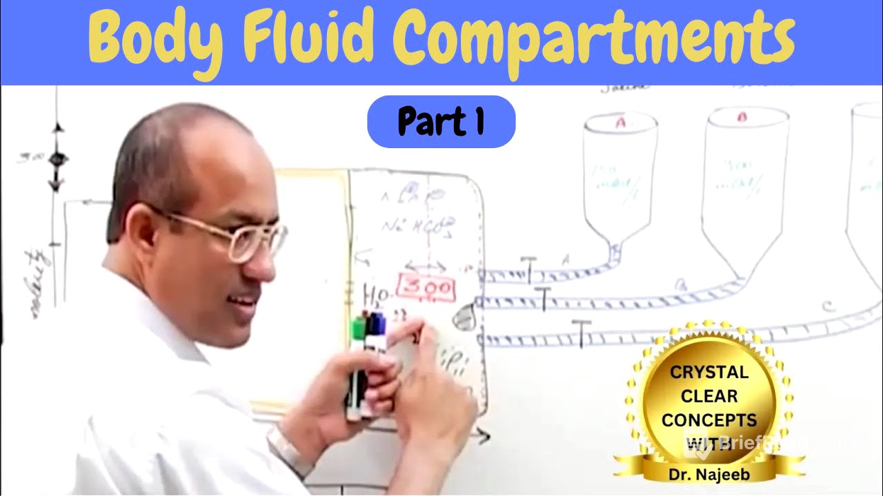 Body Fluid Compartments | IV Fluids | Types & Uses Part 1🩺