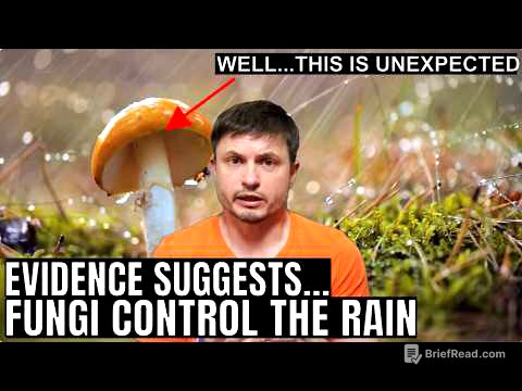 Mushrooms Have an Ability to Control Rain According to New Study