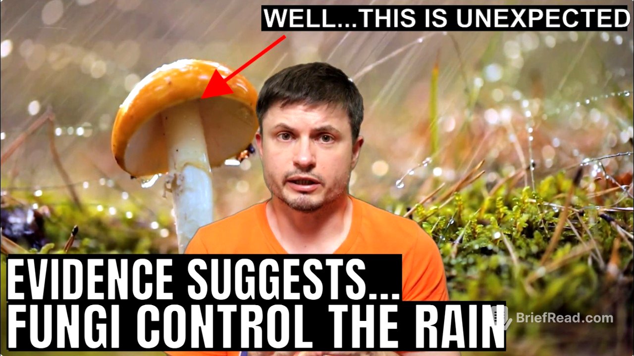 Mushrooms Have an Ability to Control Rain According to New Study