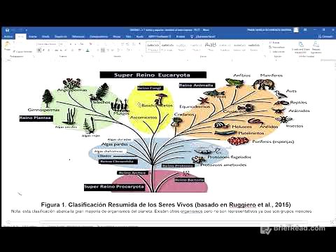 Nueva Unidad 1 parte 1