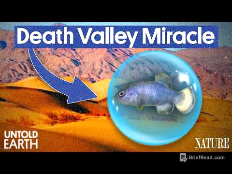 Why The World’s Rarest Fish Is Trapped In The Hottest Desert On Earth