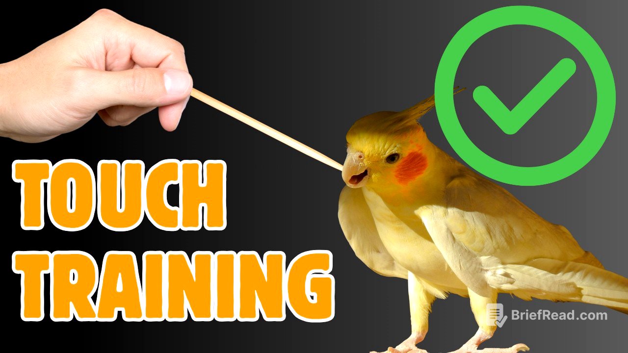 5 WORST Bird Training Mistakes —and 5 Things They REALLY Love
