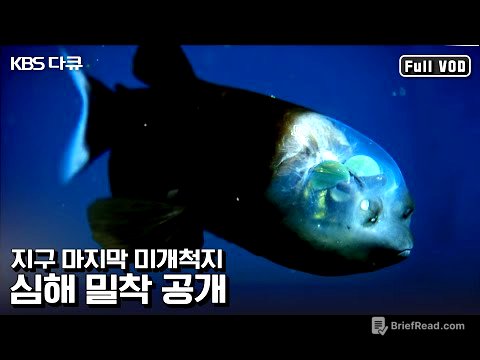 뇌가 보이는 물고기 ‘배럴아이’부터 ‘발광해파리'까지! 고화질로 만나는 심해의 신비 | “최초 탐사 남태평양 심해를 가다” (KBS 110605 방송)