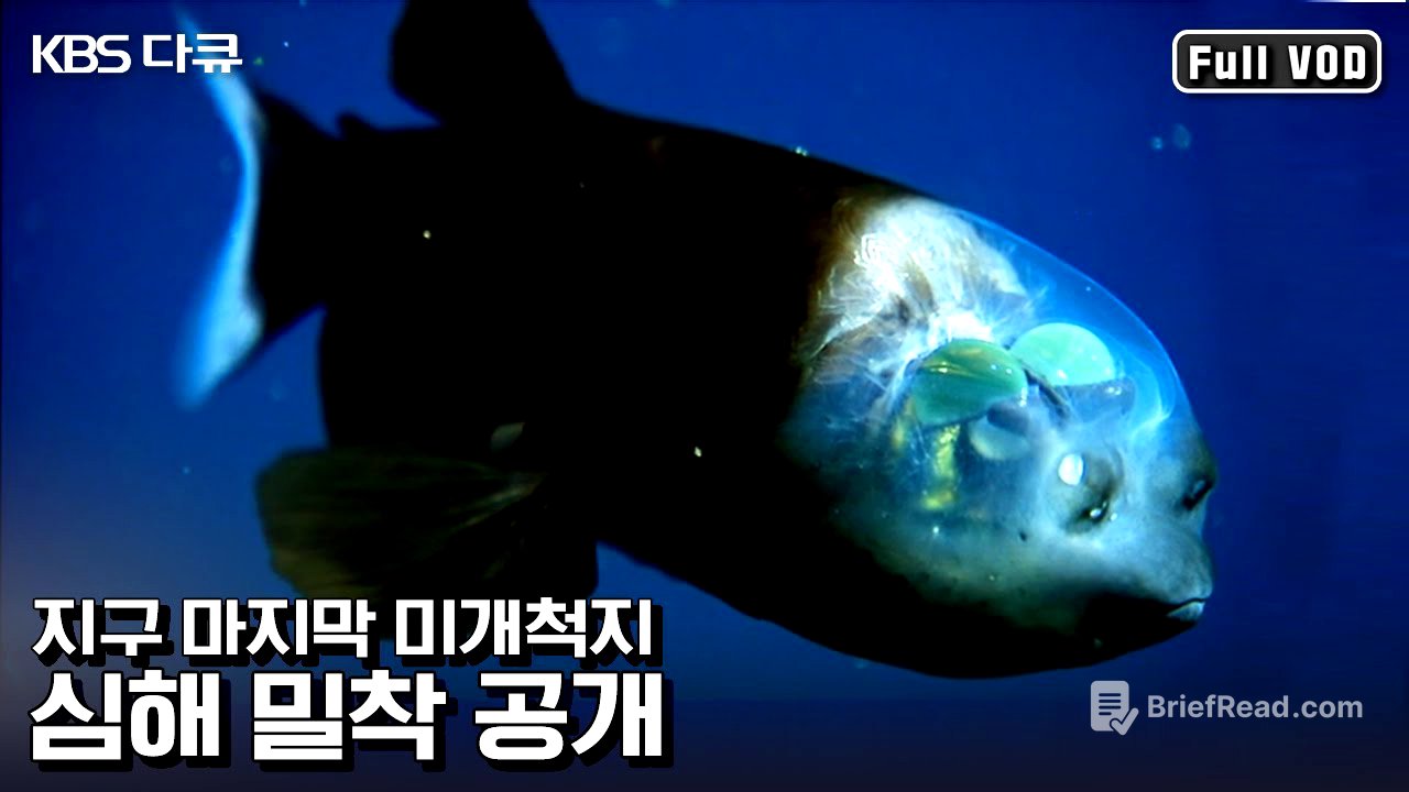 뇌가 보이는 물고기 ‘배럴아이’부터 ‘발광해파리'까지! 고화질로 만나는 심해의 신비 | “최초 탐사 남태평양 심해를 가다” (KBS 110605 방송)