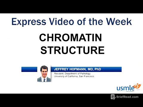 Chromatin Structure