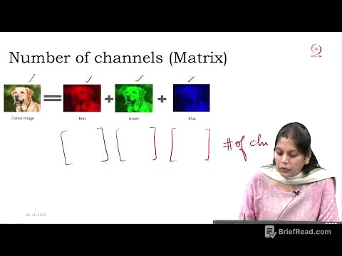 Lec 11  Fundamentals of Image representation and Image preprocessing and Data augmentation