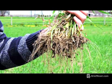 Soil Health Reclamation