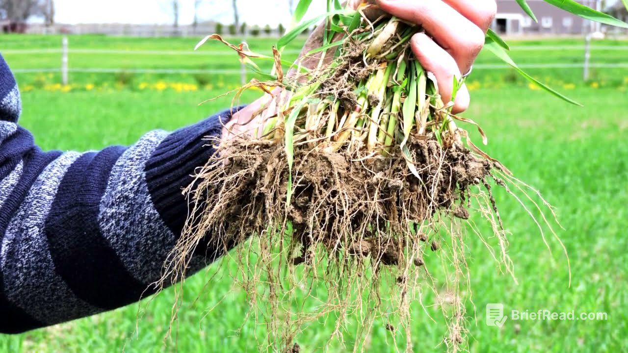 Soil Health Reclamation