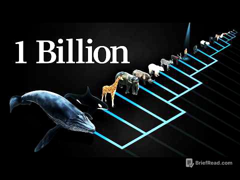 Why does every mammal get 1 billion heartbeats in their life?