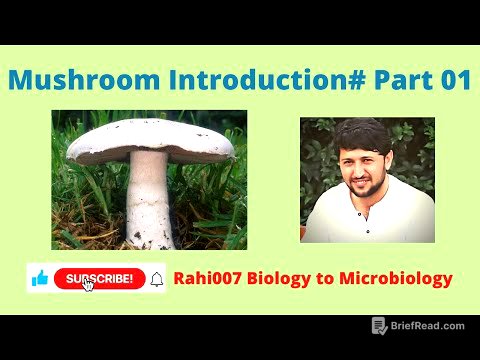 Mushroom Introduction # Part 01