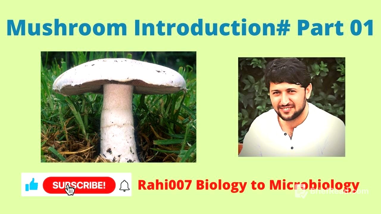 Mushroom Introduction # Part 01