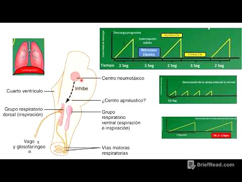 Control de la respiración