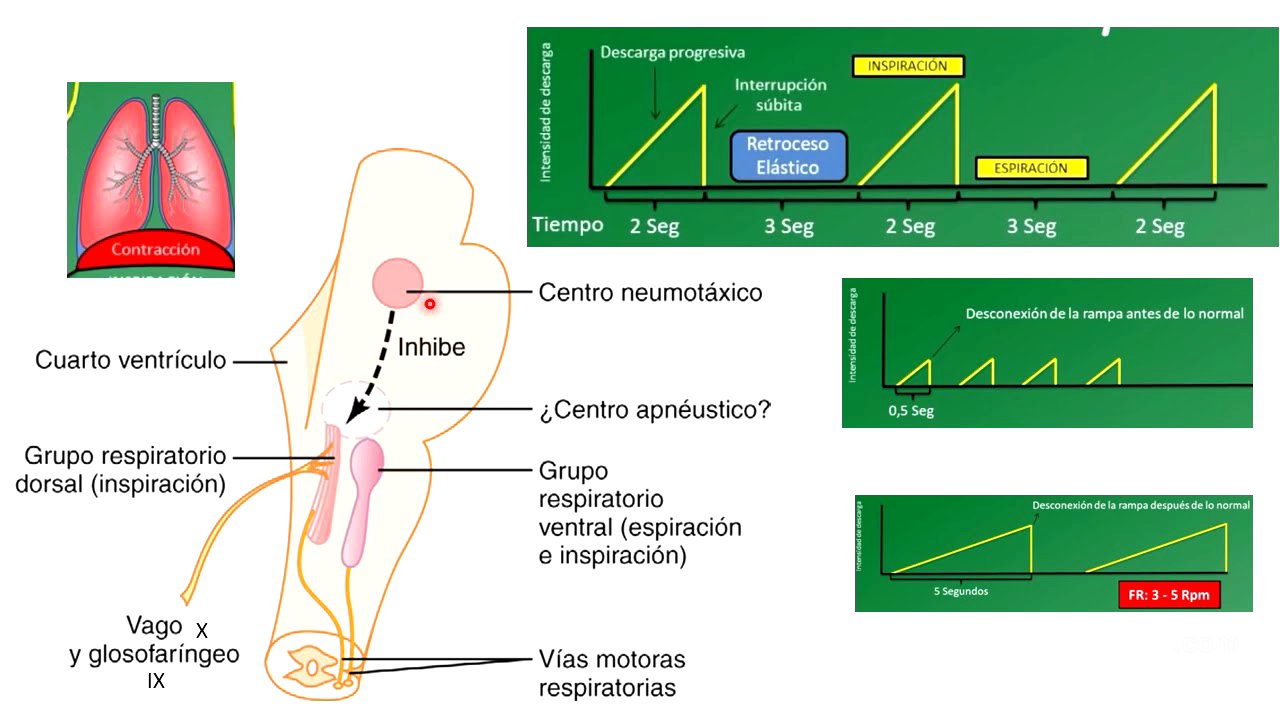Control de la respiración