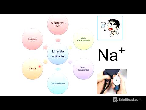 Glándulas suprarrenales 2021