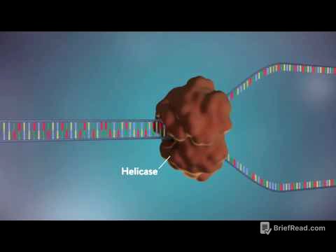 Replicación del ADN