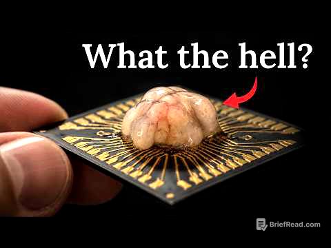 We're Not Ready for Biocomputing