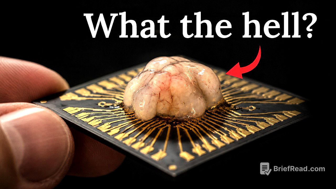 We're Not Ready for Biocomputing