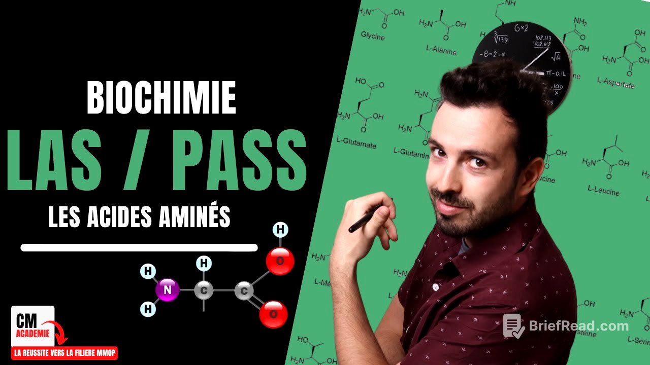 Les acides aminés : 🧬 Comment les classer pour les APPRENDRE ? Mes astuces de BIOCHIMIE !