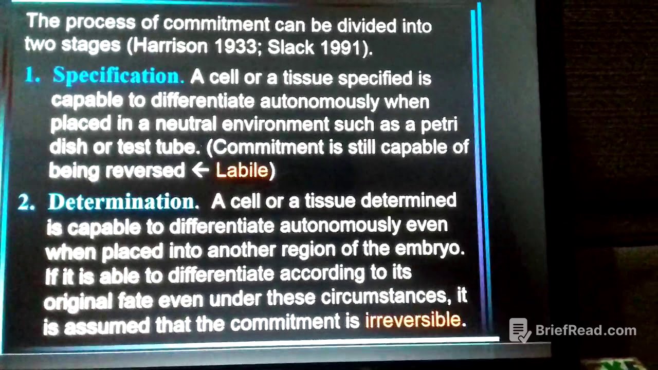 Principles of Animal Development part 2(modif)