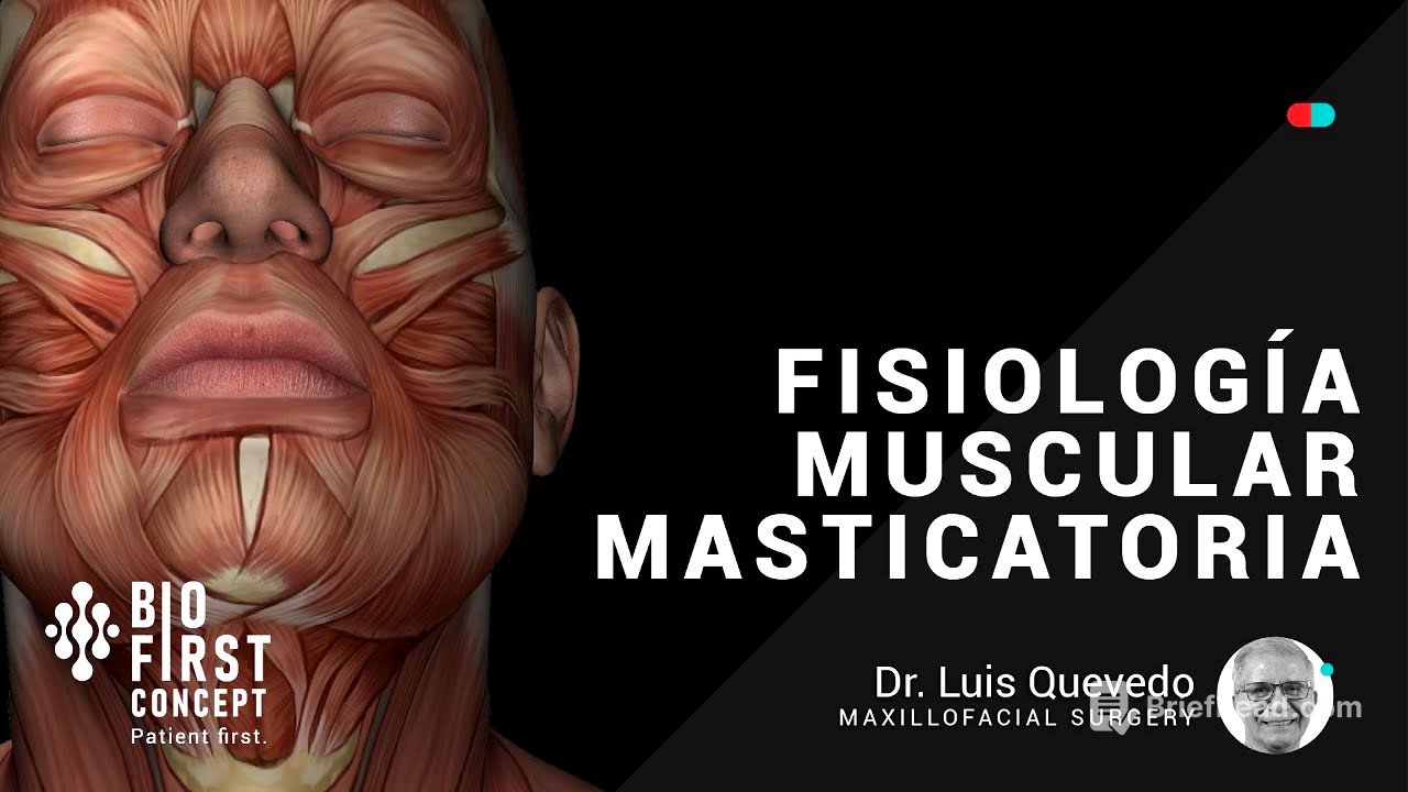 Fisiología Muscular Masticatoria [ATM Series 05]