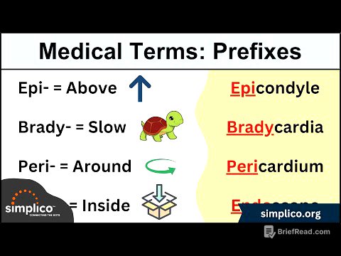 Medical and Nursing Terminology MADE EASY: Prefixes [Flashcard Tables]