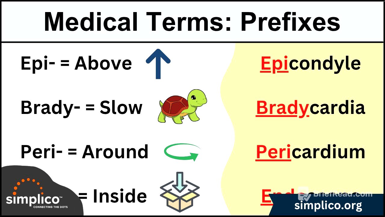 Medical and Nursing Terminology MADE EASY: Prefixes [Flashcard Tables]