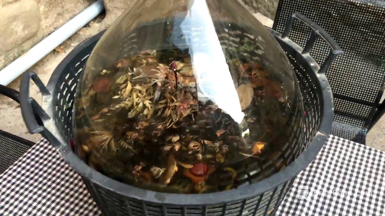 Como hacer ratafia