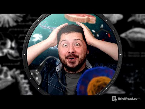 Origem da Vida | Nerdologia Ensina 01