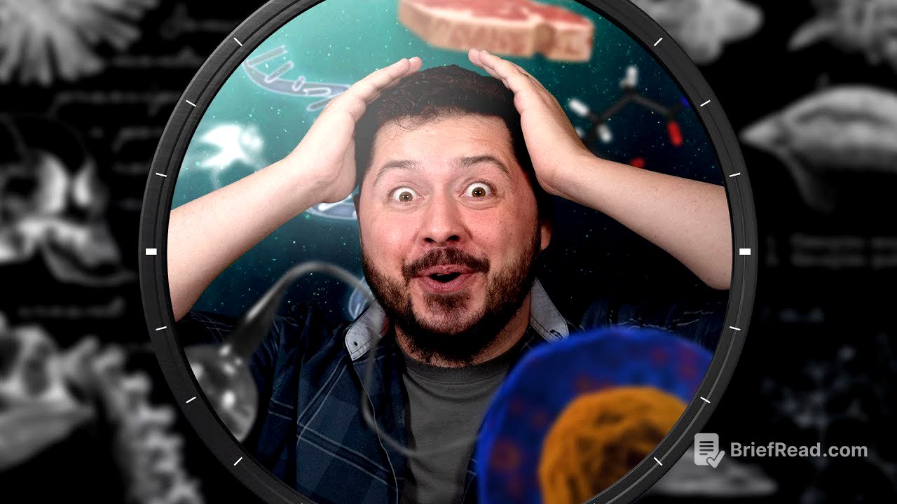 Origem da Vida | Nerdologia Ensina 01