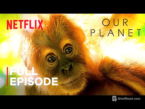 Our Planet | Jungles | FULL EPISODE | Netflix
