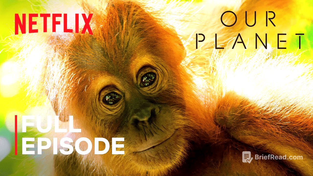 Our Planet | Jungles | FULL EPISODE | Netflix