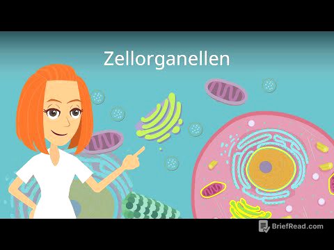 Zellorganellen und ihre Funktionen - einfach erklärt!
