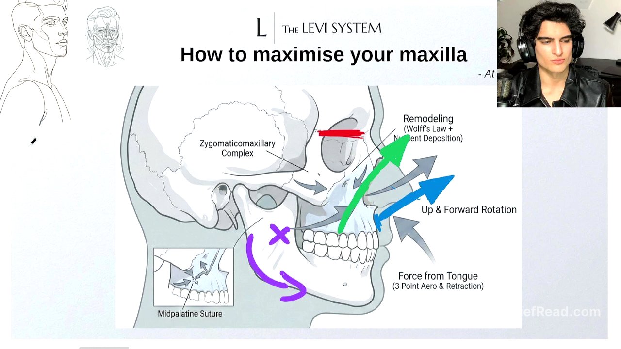 How to maximise your maxilla (at any age)