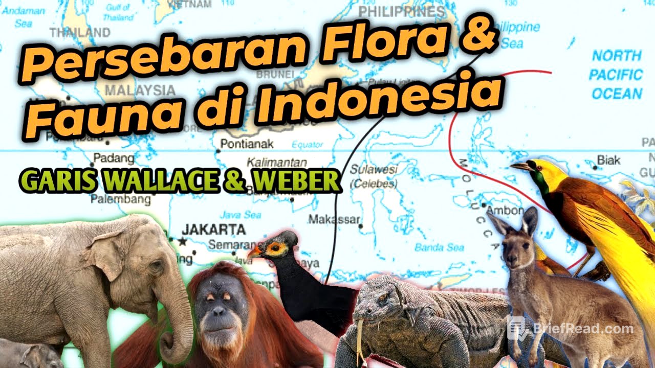 Garis Wallace dan Weber - Persebaran Flora & Fauna di Indonesia | Dunia Biologi