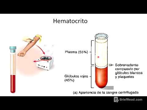 Tejido sanguíneo: Generlidades y  plasma