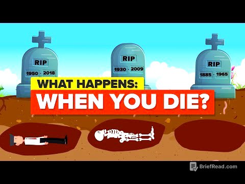 What Happens When You Die?