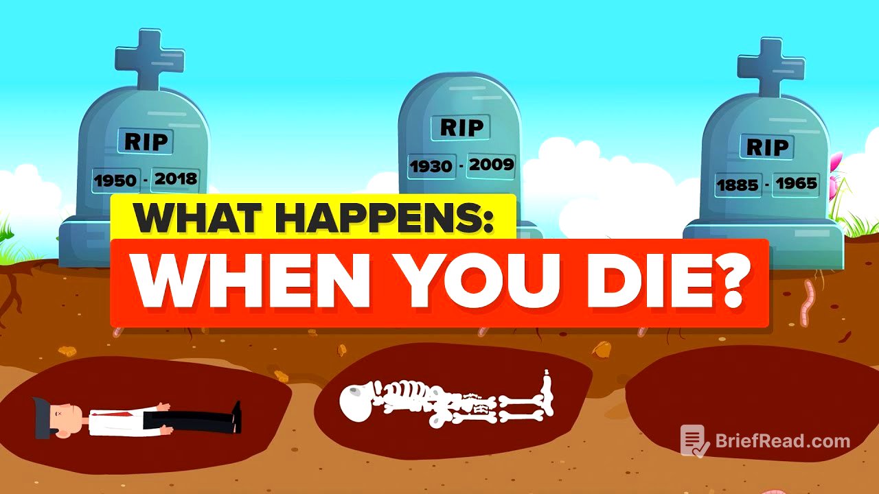 What Happens When You Die?
