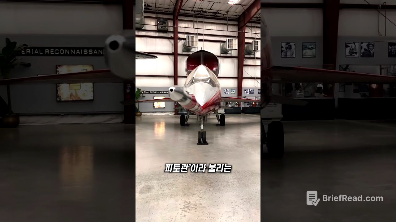 비행기 바늘의 정체