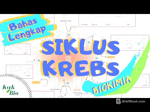 Bahas Lengkap SIKLUS KREBS | Respirasi Aerob