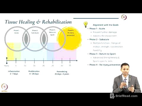 Overview of Phases of Rehabilitation