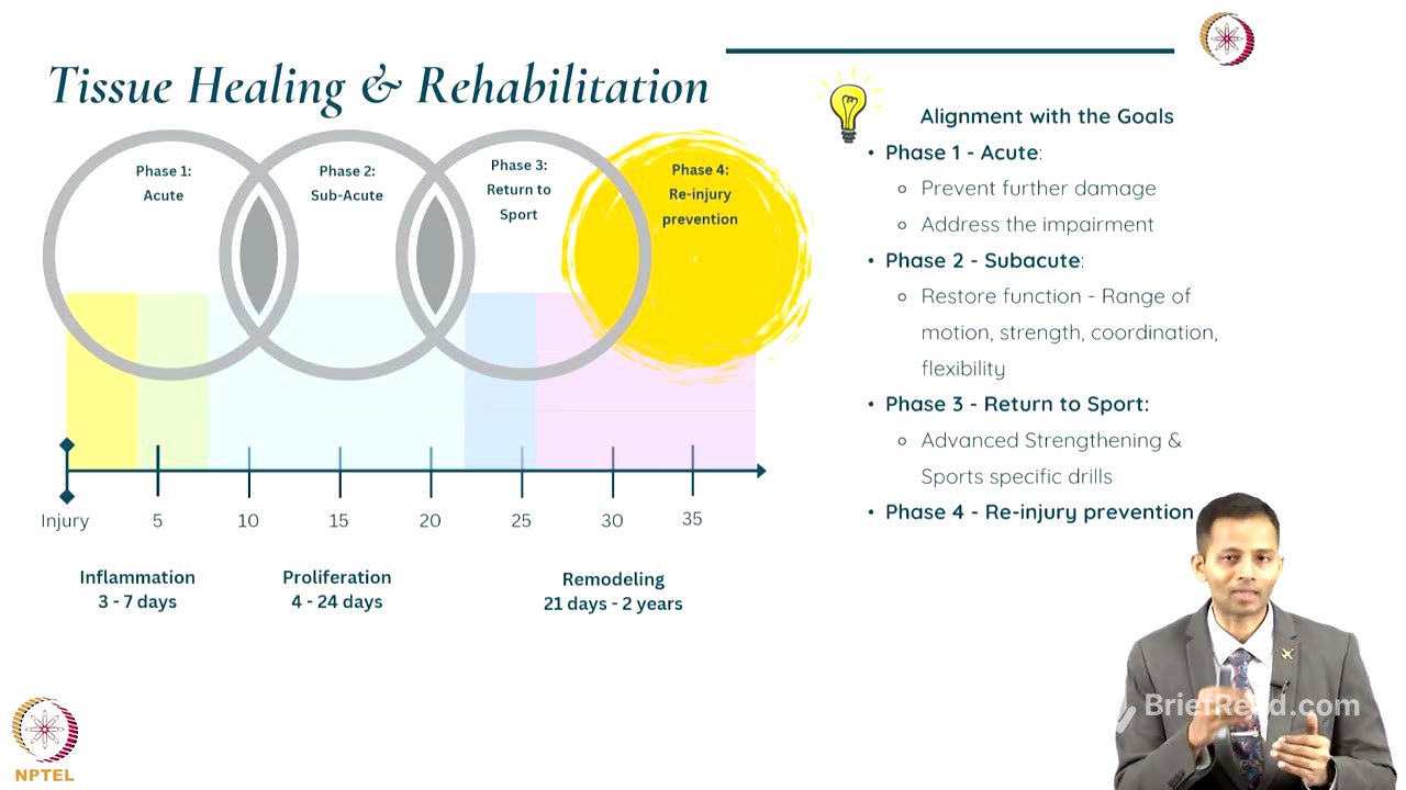 Overview of Phases of Rehabilitation