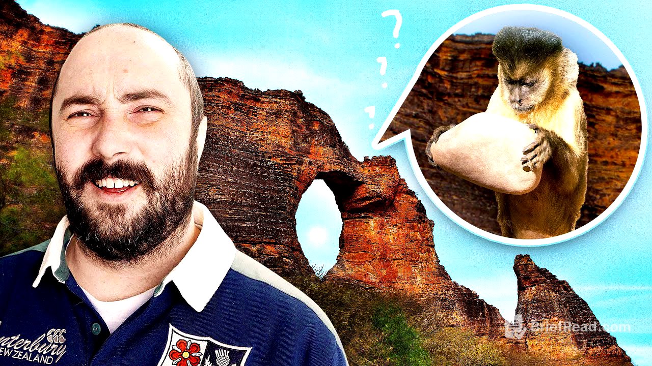 The big problem with Brazil's oldest archaeological site [Feat. North02]